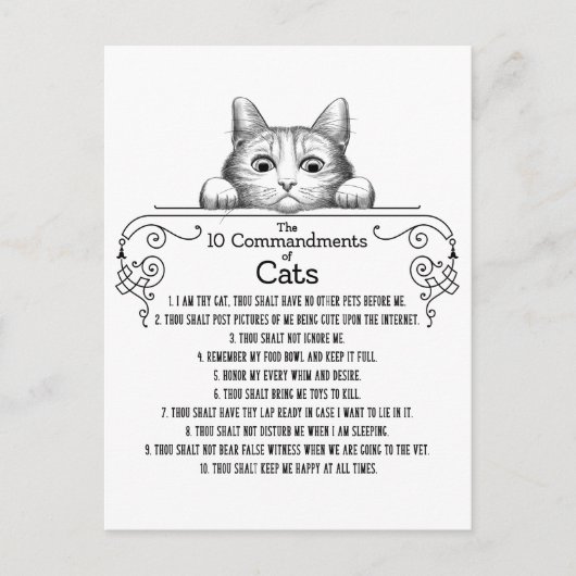 De tien geboden van Cats Funny Briefkaart (Voorkant)