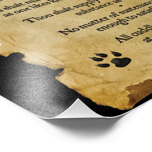 De tien geboden van de kat foto afdruk (Hoek)