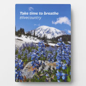 De tijd die nodig is om de fotoplaat (voorkant)