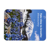 De tijd die nodig is om de magneet (Horizontaal)