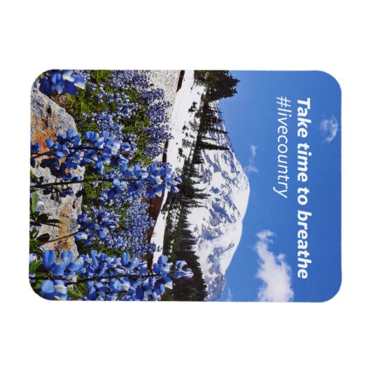 De tijd die nodig is om de magneet (Horizontaal)