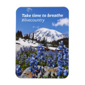 De tijd die nodig is om de magneet (Verticaal)