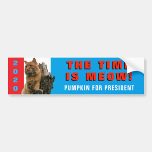 De tijd is miauw! Majestic Pompoen voor President Bumpersticker