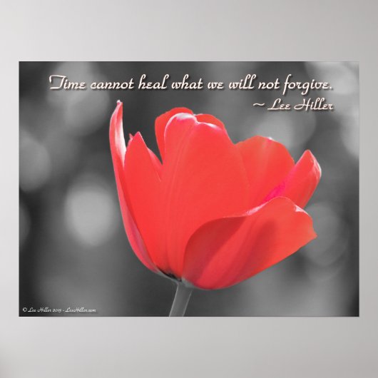 De tijd kan niet helen wat wij... Poster (Voorkant)