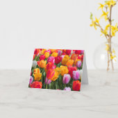 De Tijd van de lente bij Gedaalde Gardens1 2013 Kaart (Gele Bloem)