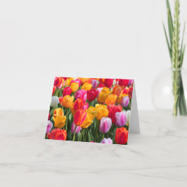 De Tijd van de lente bij Gedaalde Gardens1 2013 Kaart