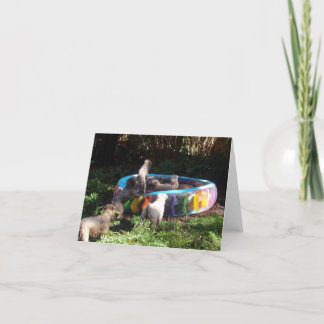 De Tijd van de partij! Kaart