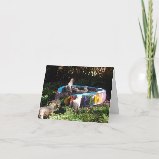 De Tijd van de partij! Kaart (Voorkant)