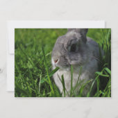 De Tijd van de snack Kaart (Voorkant)