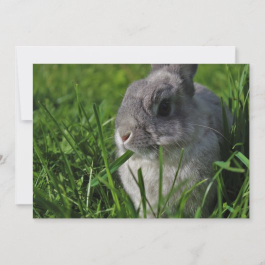 De Tijd van de snack Kaart (Voorkant)