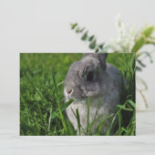 De Tijd van de snack Kaart (Staand voorkant)