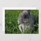 De Tijd van de snack Kaart (Voorkant / Achterkant)