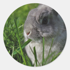 De Tijd van de snack Ronde Sticker