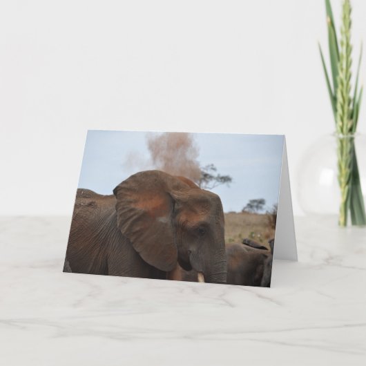 De Tijd van het bad Kaart (Voorkant)