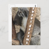 De tijd van het dutje briefkaart (Voorkant / Achterkant)