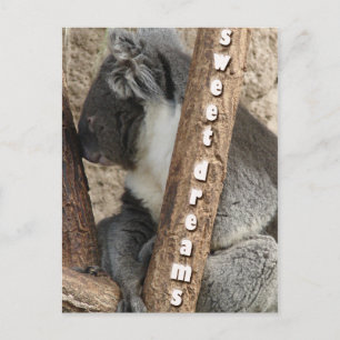 De tijd van het dutje briefkaart