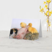 De Tijd van het dutje voor de Dieren Kaart (Gele Bloem)