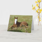 De tijdveulen van de lente kaart (Gele Bloem)
