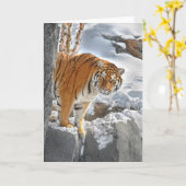 De tijger gluurt kaart (Gele Bloem)