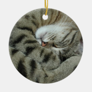 De tijger-Kat van de slaap Keramisch Ornament
