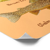 De tijger maken poster (Hoek)