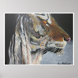 De tijger poster