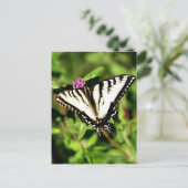 De tijger Swallowtail Butterfly. Papilio glacus. Briefkaart (Staand voorkant)