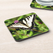 De tijger Swallowtail Butterfly. Papilio glacus. Onderzetter (Linkerzijde)