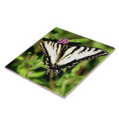 De tijger Swallowtail Butterfly. Papilio glacus. Tegeltje (Zijkant)