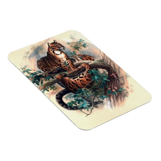 De tijger van Clouded door Joseph Wolf Magneet (Rechterzijde)