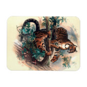 De tijger van Clouded door Joseph Wolf Magneet (Horizontaal)