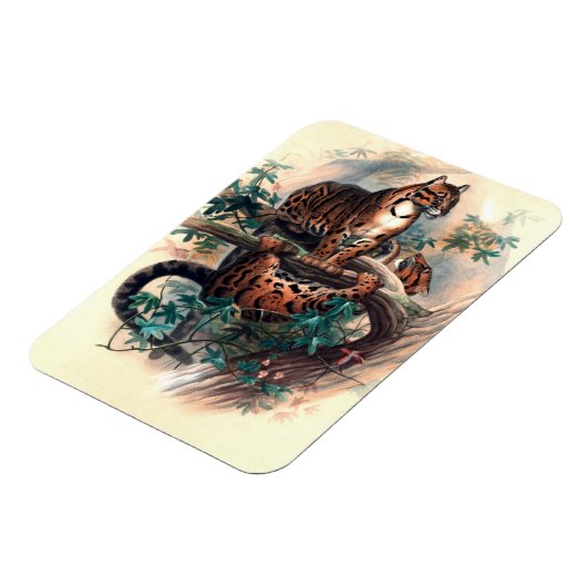 De tijger van Clouded door Joseph Wolf Magneet (Linkerzijde)