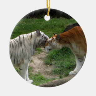 De Tijgers van het Ornament ~ van de Liefde van de
