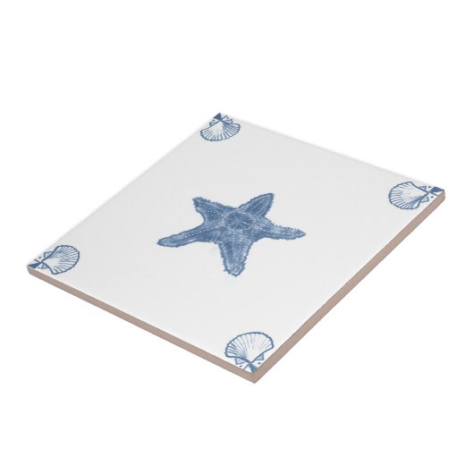 De Tile van de Startvis van de Delft met de Hoeken Tegeltje (Zijkant)