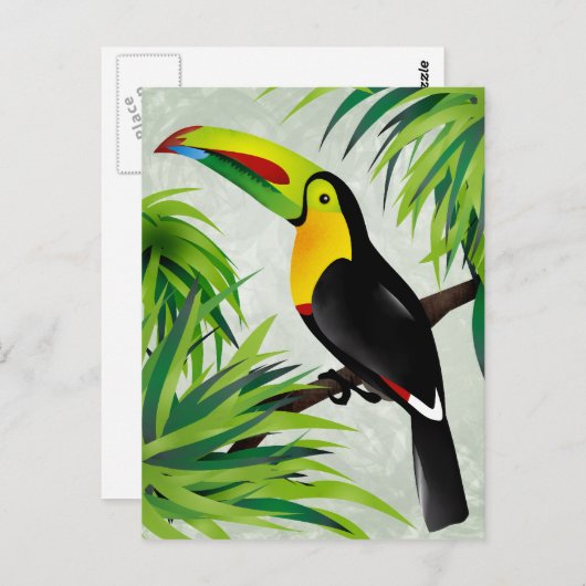 De Toekan van het oerwoud Briefkaart (Voorkant / Achterkant)