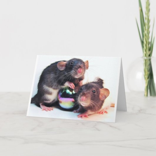 De toekomst is een feest! kaart (Voorkant)