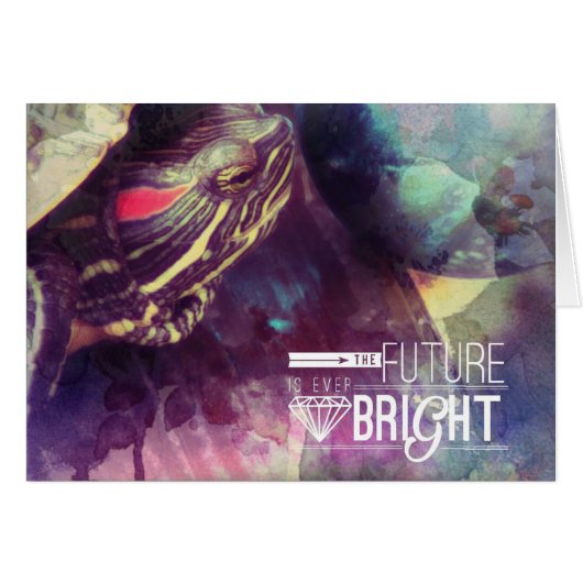 De toekomst is helder, Myrtle de schildpad (Voorkant Horizontaal)