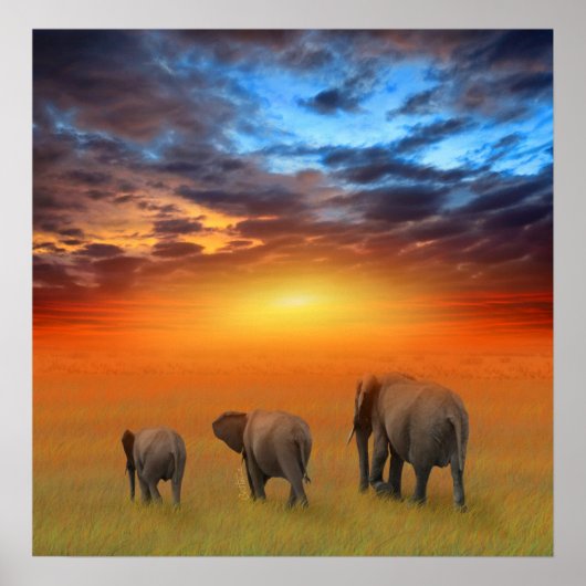 De toekomst is helder poster (Voorkant)