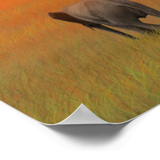 De toekomst is helder poster (Hoek)