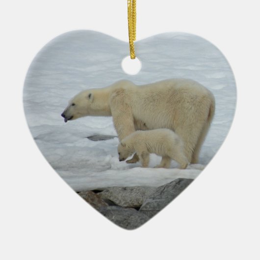 DE TOEKOMST KERAMISCH ORNAMENT (Voorkant)