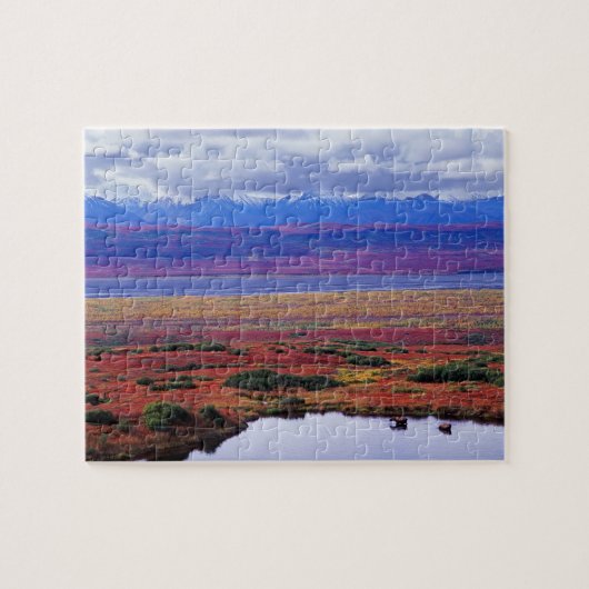 De toendra van Denali National Park in de late Legpuzzel (Horizontaal)