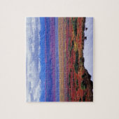 De toendra van Denali National Park in de late Legpuzzel (Verticaal)