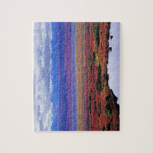 De toendra van het nationale park Denali aan het e Legpuzzel (Verticaal)