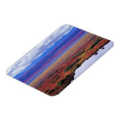 De toendra van het nationale park Denali aan het e Magneet (Linkerzijde)