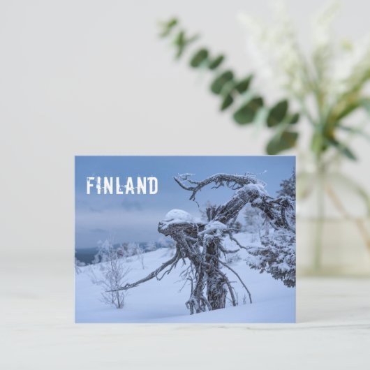 De toeristenbriefkaart van Finland Briefkaart (Staand voorkant)