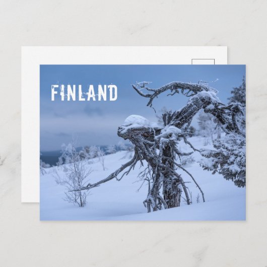 De toeristenbriefkaart van Finland Briefkaart (Voorkant / Achterkant)