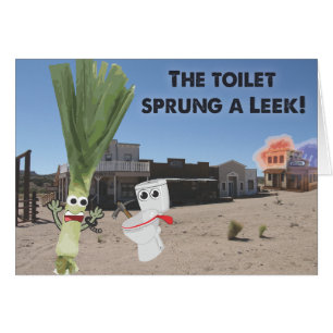 De Toilet Sprung is een leek.