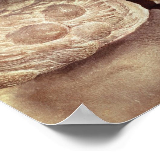 De tomb van Giuliano de Medici Poster (Hoek)