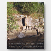 De tomb van Jezus Fotoplaat (Voorkant)