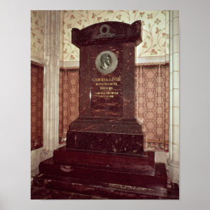 De tombe van Carl Linnaeus Poster